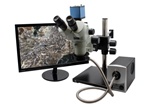 Aven 26800B-382-PRO - Microscopio Trinocular Con Zoom Estéreo SPZV-50 [6.7x-50x] En Soporte De Brazo Doble, FOI Con Mighty Cam Pro